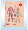 正版 認識自己的身體 關于五官的繪本我啟蒙認知耳朵鼻子眼睛的秘密精裝硬殼繪本閱讀幼兒園 小班兒童繪本3–6歲中班硬皮故事書幼兒大班 【單冊】認識自己的身體 曬單實拍圖