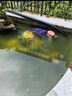 格池（GRECH）室外魚(yú)池過(guò)濾器水循環(huán)凈化系統過(guò)濾桶外置錦鯉池過(guò)濾箱養魚(yú) 2m3魚(yú)池過(guò)濾套餐（桶+泵+管） 曬單實(shí)拍圖