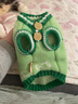 華元寵具（hoopet）狗狗衣服冬季保暖幼犬比熊小狗秋裝博美泰迪小型犬寵物毛衣冬天 【推薦】可愛小熊毛衣-綠 XS：胸圍29cm（建議1-3斤） 曬單實(shí)拍圖
