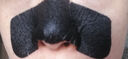 惑麗客惑麗客（Holika Holika）送女友去黑頭貼鼻貼豬鼻貼導(dǎo)出T區(qū)護(hù)理韓國(guó)進(jìn)口清潔 蜜光版7g*1片 曬單實(shí)拍圖