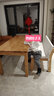 旺家星實(shí)木客廳大書(shū)桌休閑區茶桌椅組合家用簡(jiǎn)約多人學(xué)習桌工作臺長(cháng)桌子 沙發(fā)椅：120*48*45 曬單實(shí)拍圖