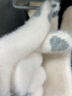 察今手套秋冬季女可愛騎行保暖加厚防寒學(xué)生針織毛線可觸屏棉手套五指 淺藍(lán)色 曬單實(shí)拍圖