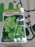 玥繆 （買2件以上送肥料） 五月紅豇豆種子滿地紅無架豆種籽家種四季 1包方四季豆角梅豆角 曬單實(shí)拍圖