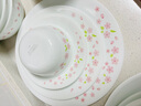 CORELLE康寧餐具進口Sakura櫻花玻璃餐具套裝飯碗面碗骨碟深盤 17cm深盤【2個裝】 曬單實拍圖