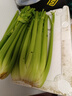 【瘦身減脂】山東大西芹水果西芹去葉新鮮蔬菜新鮮榨汁 帶箱：5斤 曬單實拍圖