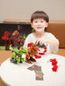 恐龍島玩具  DINOSAURS’ISLAND TOYS兒童禮物侏羅紀恐龍玩具兒童拆裝禮盒套裝益智1-3歲男孩生日禮物 霸王龍 迅猛龍 三角龍+高端禮盒 曬單實(shí)拍圖