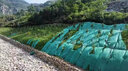 QCDD護(hù)坡固土草籽種子四季青耐寒矮草坪種孑山邊坡公路紫穗槐灌木植物 護(hù)坡高羊茅包衣凈籽混播/斤 曬單實(shí)拍圖