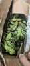 新鮮青毛豆現摘帶殼毛豆鮮嫩毛豆角農村自種蔬菜應季青毛豆 新鮮精品-帶殼毛豆-2斤 曬單實(shí)拍圖