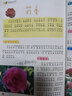 我的第一套百科全書(shū)：植物世界（16開(kāi)四色平裝 彩圖注音版） 曬單實(shí)拍圖