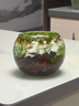 貝意品桌面小魚(yú)缸圓形金魚(yú)缸玻璃迷你型懶人客廳家用辦公室熱彎加厚透明 小號  直徑15CM 高度11cm 曬單實(shí)拍圖