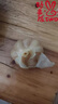 菓靈稥臘八蒜 山東傳統(tǒng)工藝紫皮臘八蒜翡翠綠蒜糖醋泡蒜腌大蒜火鍋食材 糖醋蒜 1斤家庭裝 脆嫩爽口 曬單實拍圖
