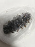 老尹家淡干海參7年禮盒裝滋補禮品深海底播端午禮盒干貨500g 128-138頭 500g*1盒 曬單實拍圖