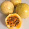 博多客海南欽蜜黃金百香果純甜 樹上熟百香果 當(dāng)季水果現(xiàn)摘現(xiàn)發(fā) 3斤大果(70-80g) 曬單實(shí)拍圖