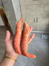 鮮拔頭籌 【超大】阿根廷紅蝦 凈重4斤 30-50只特大L1紅蝦冰蝦 L1紅蝦 2000g(凈重) 曬單實(shí)拍圖