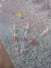 護王淺水短漂加粗醒目鯽魚(yú)漂野釣白條釣草洞釣溪流巴爾杉木材質(zhì)浮標 珠B2-001（3號）長(cháng)15cm吃鉛1.8g 三支裝 曬單實(shí)拍圖