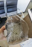 得力適用3847會(huì)計(jì)憑證鉚管3853裝訂機(jī)柳管熱熔管打孔機(jī)膠管 得力NO.3853品牌鉚管 曬單實(shí)拍圖