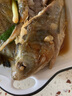 鮮可居漳州市東山縣 冷凍午魚 四指馬鲅 養(yǎng)殖馬友魚 鮮活速凍海鮮 2條【0.9-1.1斤/條】 曬單實拍圖