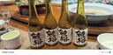 鯨裕 WHALE RICH6瓶裝鯨裕國產清酒15度290毫升國產清酒純米釀造宴請約會微醺 6瓶裝 6瓶裝 曬單實拍圖