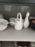 傳世瓷碗碟套裝家用景德鎮(zhèn)歐式骨瓷碗筷陶瓷器吃飯?zhí)淄氡P(pán)子中式 天鵝湖60件 60頭豪華套裝 曬單實(shí)拍圖