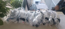 3M護(hù)目鏡騎行工業(yè)切割打磨10437 實(shí)驗(yàn)室液體防飛濺勞保防護(hù)眼鏡防霧防粉塵騎行防風(fēng)眼鏡防紫外線1副 1621AF防霧【防風(fēng)沙液體飛濺/通風(fēng)口設(shè)計(jì)】 曬單實(shí)拍圖