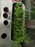 花沃里花盆长方形带托盘 大号种菜盆阳台种菜箱种子育苗种植箱多肉花盆 实拍图
