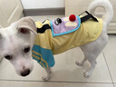 MIKI PAD狗狗衣服小型犬透氣春秋款薄款T恤泰迪比熊雪納瑞貓衣服可牽引 撞色T恤【帶牽引環(huán)】 L胸圍47cm（參考體重8-11斤） 曬單實(shí)拍圖