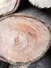 夢(mèng)多福內(nèi)窺鏡工業(yè)級(jí)高清360度管道防水探頭超清汽車(chē)汽修下水管攝像頭 雙鏡頭8mm【10M線長(zhǎng)+32G內(nèi)存卡】 曬單實(shí)拍圖