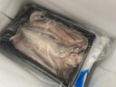 七葉島舟山特產(chǎn)龍頭魚(yú)新鮮豆腐魚(yú)海鮮鮮活冷凍水產(chǎn)九肚魚(yú)生鮮水潺3斤裝 曬單實(shí)拍圖
