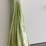 密水農家密云農業(yè) 本地自種芹菜 鮮摘小芹菜 新鮮蔬菜 芹菜 500g 曬單實(shí)拍圖