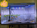 寵小帥亞克力魚缸4K超白客廳桌面烏龜缸生態(tài)造景一體水族箱自循環(huán)金魚缸 45蒂芙藍(lán)專業(yè)版 【燈+過濾增氧】 曬單實拍圖