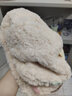 帝行奶fufu羊羔星星帽秋冬保暖百搭大頭圍漁夫帽顯臉小毛線帽毛絨帽子 卡其 蝴蝶結(jié)帽 曬單實(shí)拍圖