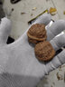 盤三世文玩核桃磨盤獅子頭手把件男士盤玩野生物件把玩古玩收藏麻核頭 35-36mm磨盤一對+盤玩工具8件 原色 曬單實拍圖