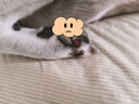 寵星記 伊麗莎白圈 中小型犬 防舔項(xiàng)圈 貓咪狗狗 恥辱圈 柔軟舒適輕便 大號(hào)藍(lán)色 頸圍：28-34cm 曬單實(shí)拍圖