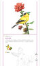 經(jīng)典全集 《彩鉛花鳥(niǎo)》繪畫(huà)入門(mén)教程書(shū)超寫(xiě)實(shí)手繪花卉植物草臨摹畫(huà)冊花之繪成人0零基礎自學(xué)教材 楊建飛主 曬單實(shí)拍圖