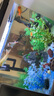 長(zhǎng)銳恒溫魚缸智能水族箱自循環(huán)生態(tài)全自動(dòng) CRV380智能款+桃源景 曬單實(shí)拍圖