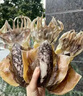 莆田大號(hào)墨魚干貨精選肉厚特產(chǎn)級(jí)東海目魚干淡干煲湯野生天然海鮮 福建海鮮特產(chǎn)墨魚干干貨 精選500g【2-4只一斤大墨魚干】 曬單實(shí)拍圖