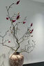玉蘭花水培水養(yǎng)綠植花卉遇水開(kāi)花樹(shù)苗盆栽帶花苞干枝耐寒鮮切白紫 【清香素雅】鮮切白玉蘭60~80cm3枝+送掛件+ 裸根不帶土 曬單實(shí)拍圖
