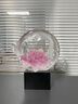 縱歡琉璃藝術(shù)品牡丹花擺件客廳辦公室裝飾輕奢創(chuàng)意高級工藝品喬遷禮物 富貴圓滿（冰粉圈）  配高檔水晶 曬單實拍圖