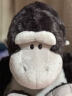 NICI520情人节礼物生日猩猩猴子毛绒玩具可爱玩偶毛绒娃娃公仔送男孩 实拍图