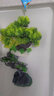 二月花魚缸造景套餐一整套裝飾品擺件仿真水草全套景觀假山小缸造型內(nèi)飾 35-E09套餐 適合長40/50cm的魚缸 不包含魚缸 曬單實拍圖