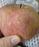 京典光年山西運城紅富士蘋(píng)果2025年新果老樹(shù)冰糖心蘋(píng)果平安果山西特產(chǎn)水果 凈重2斤品質(zhì)果 曬單實(shí)拍圖