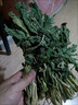 特產(chǎn)優(yōu)聯(lián)延吉干白菜 東北特產(chǎn)新貨干白菜干菜干貨脫水蔬菜農(nóng)家晾曬500g包 農(nóng)家自曬干白菜(一斤裝500g) 曬單實(shí)拍圖