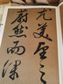 人美書(shū)譜宇卷 行書(shū) 草書(shū) 明文徵明醉翁亭記心經(jīng)陋室銘 定價(jià)113 曬單實(shí)拍圖