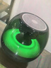 GUGLE柏林之聲音效藍牙音響HiFi全屏炫彩電腦喇叭低音炮家用車(chē)載藍牙音箱迷你便攜式小音響 【升級版】AI智能全景音效 曬單實(shí)拍圖