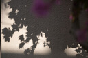 適馬（SIGMA） 56mm F1.4 半畫(huà)幅大光圈定焦鏡頭 尼康Z口 【官方標配】主圖配件+多重好禮 曬單實(shí)拍圖