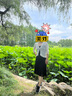 歌莉婭2025流行套裝女氣質(zhì)通勤穿搭針織開衫吊帶連衣裙兩件套1B9CAC190 00B黑色 S 曬單實(shí)拍圖