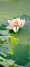 酵色【新品上市】固體唇蜜#568水光棕3g歐若風(fēng)鏡面嘟嘟唇水光口紅唇釉 曬單實(shí)拍圖