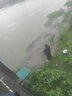 熊火路亞下水褲水庫(kù)雨褲防水衣服帶雨鞋半身連體水褲男叉抓魚全身加厚 軍綠色85絲下水褲 40 曬單實(shí)拍圖