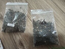 播種心情 南非萬壽菊種子藍(lán)目菊非洲菊矮桿多年生室內(nèi)外盆栽花卉易種播 南非萬壽菊種子混色500粒+肥料 曬單實(shí)拍圖