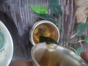 甲牛新款銀茶具999純手工鎏銀蓋碗退休喬遷禮物高檔功夫茶壺茶具套裝 全鎏銀青龍蓋碗-禮盒裝 12頭 曬單實拍圖